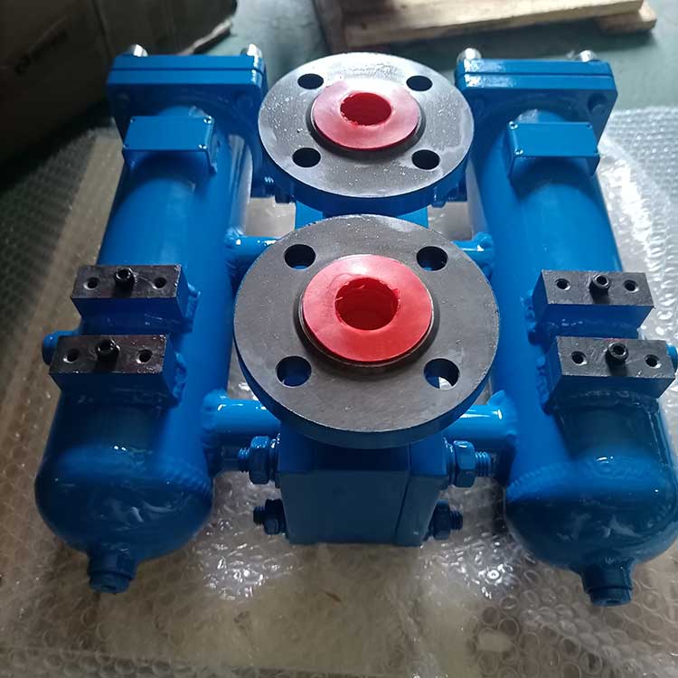 雙筒過(guò)濾器-(7)