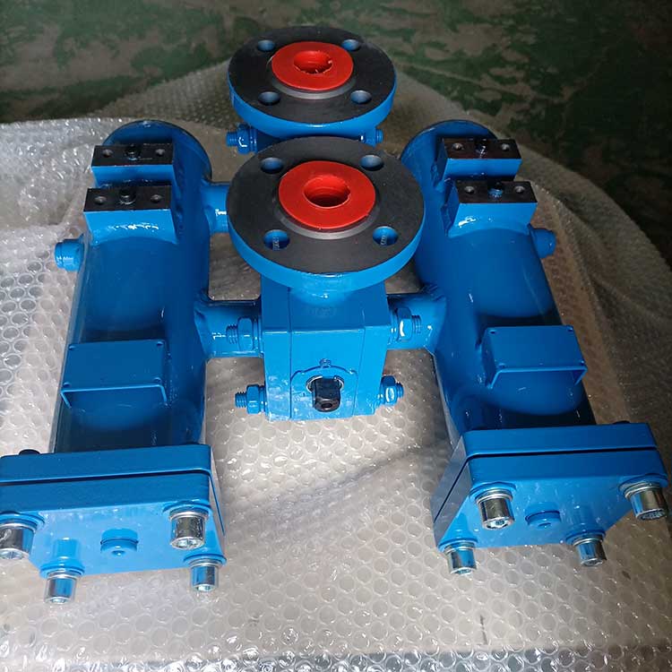 雙筒過(guò)濾器-(9)