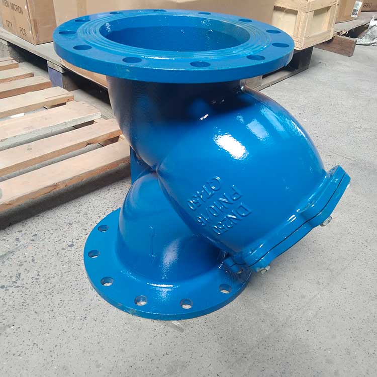 GL41H-16C-DN250-Y型過濾器-(1)